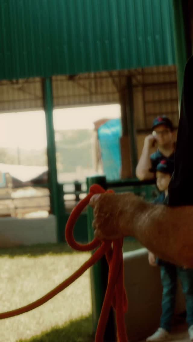 Os laços que constroem o futuro de gerações são os laços da família. Faltam 40 dias. Para leilão Gerações.