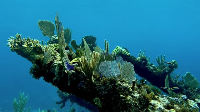 20% OFF sitewide is still going strong. 🌊✨
It’s Day 2 👀
If you missed yesterday, this is your sign. #proshotadventure #proshotcase #tidalmask #proshotandroid