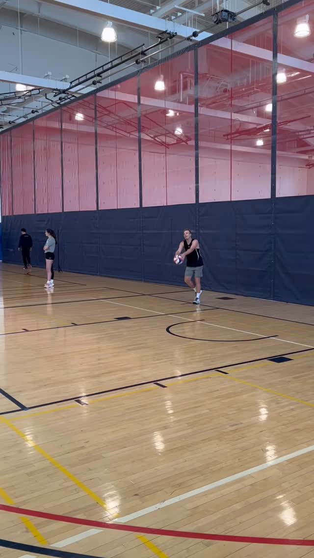 No sleeping on a flock of flamingos! 🏐🦩