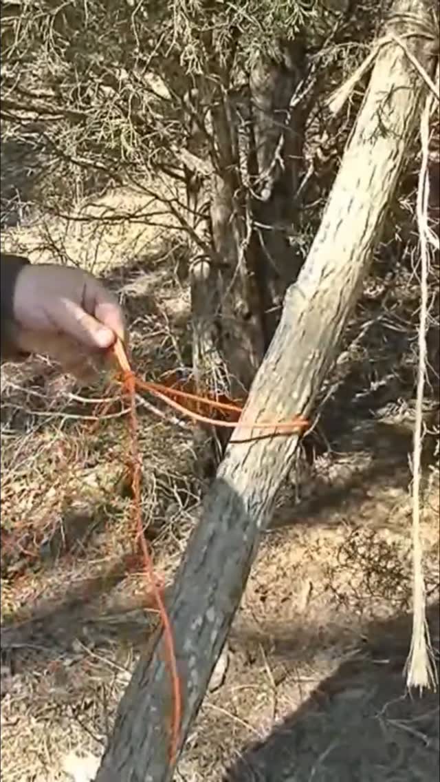 Appearance vs. function. A tight knot looks good, but doesn't change strength. Learn to tie and untie it easily. #KnotTying #CampcraftOutdoors #OutdoorSkills #Bushcraft #Survival #DIY