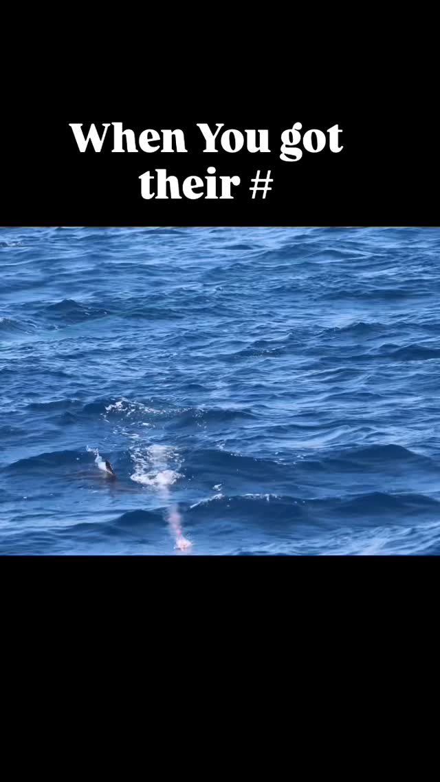 Aggression. Fish w/ INTENSITY