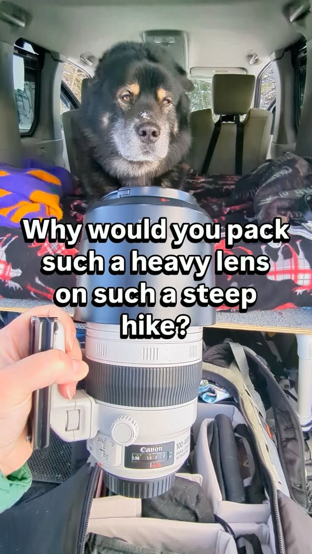 No shade on sweeping wide-angle views, but those tight telephoto perspectives just hit different. And if the backpack is heavy, well, that's mom's problem, not mine. π€£
If cost and weight weren't factors, which lens would you most want to have in your pack for a nice ridgeline hike? Mom has been drooling over the Sigma 300-600 f/4 but it's not available for her RF mount due to Canon licensing shenanigans. π‘