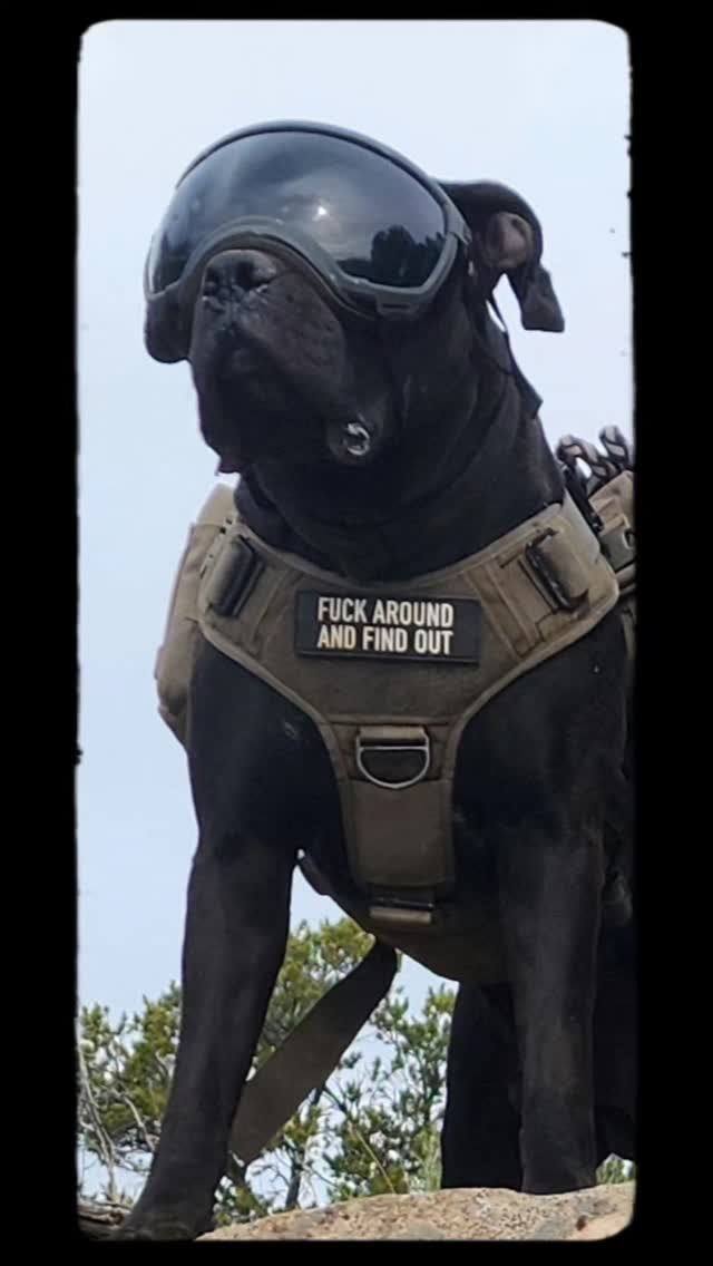 Quality gear on the whole crew.
#Eberlestock #Tactipup #RexSpecs #AlphaDogNutrition #Garmin