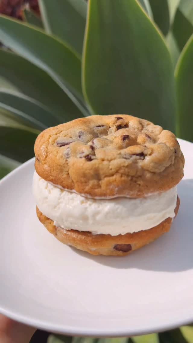 Ice cream sandwiches are essential for hot days like today! 🍦☀️
#icecreamsandwich #foodie #staycool #icecreamlover #sweettooth