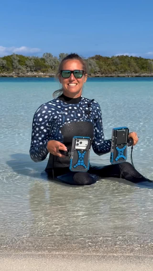 Team Iphone or Team Android?…Sophie said BOTH
Whichever you’ve got - take it underwater 🌊
20% OFF sitwide is still live
USE: CRABIT20
CRAB IT before it’s gone. #proshotadventure #proshotcase #tidalmask #proshotdivecase #proshotcase