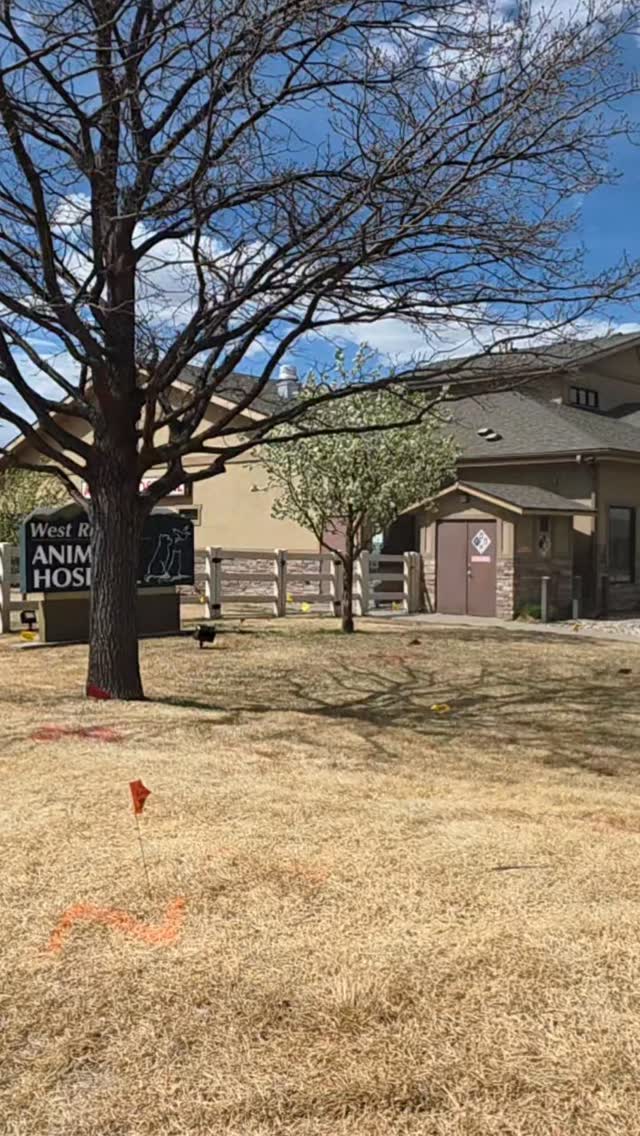 A beautiful day in Colorado
#westridgeanimalhospital #vetlife #colorado