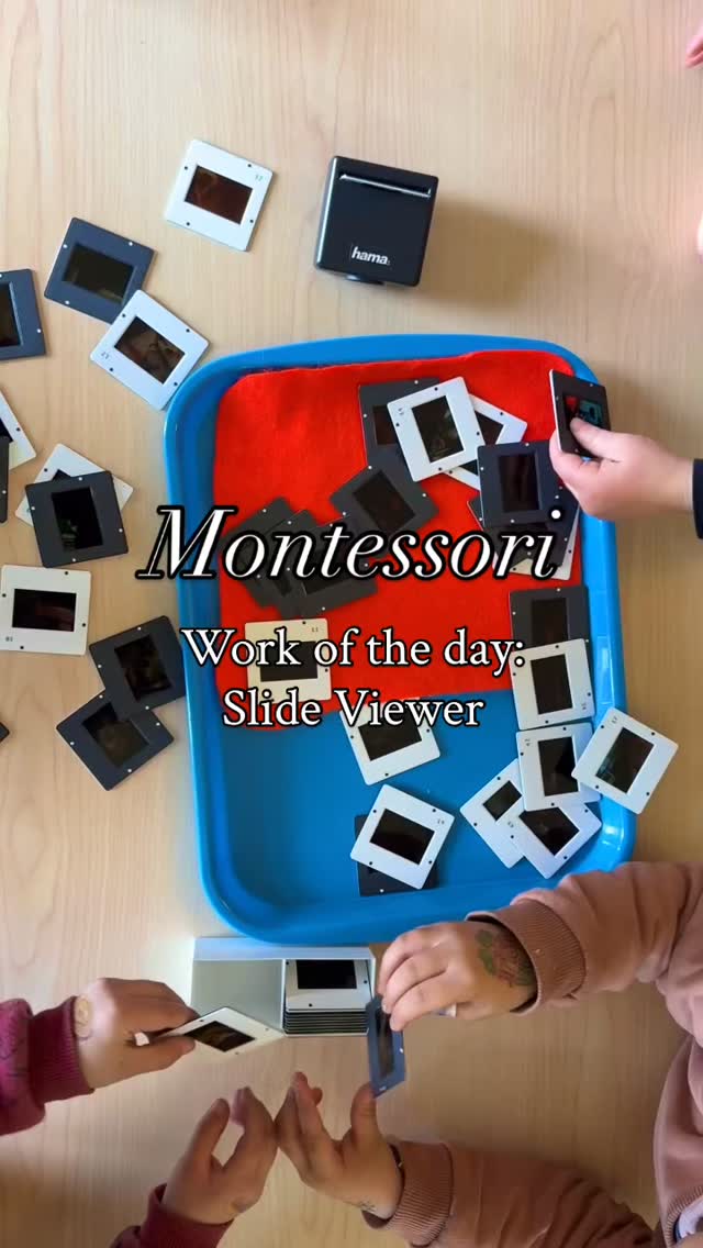 The children love examining old film negatives with a loupe magnifier! 📷
#montessoripreschool #earlylearning #yyj
#nonprofit #photography