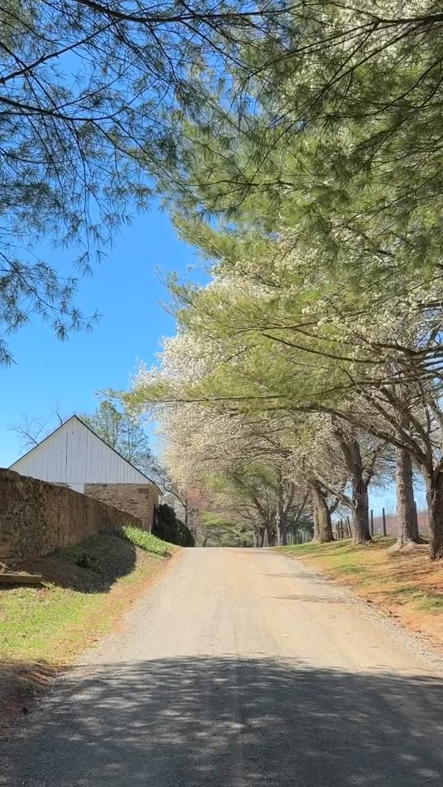 Spring is upon us. Loving every minute of it! 🐎
