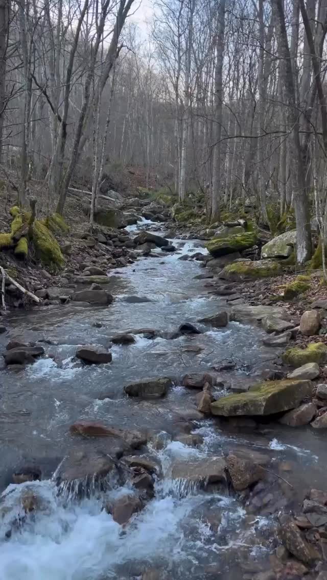 Sometimes the best moments are quiet ones. We have plenty of those just for you! Spring is curren loading….Make plans NOW to Explore Summers County, WV.
#exploresummerscounty #visitwv #gotowv #almostheaven #getoutside