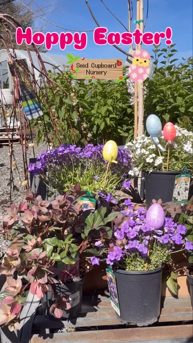 Hoppy Easter weekend! 🐰🌸 Wishing you a weekend full of spring sunshine, egg hunts, family, and all the good things spring brings!
Reminder: we are closed for Easter Sunday.