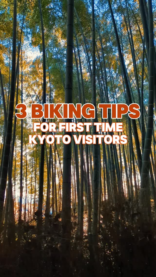 Your Kyoto experience depends on how you explore. 🚴♀️
1️⃣ Walk → crowded
2️⃣ Ride → freedom
3️⃣ Stop → discover
4️⃣ Slow → enjoy
5️⃣ Repeat → remember
Kyoto Bike Tour is the best travel destination experience.
Share this with your travel crew.
Book → www.kyotobiketour.com