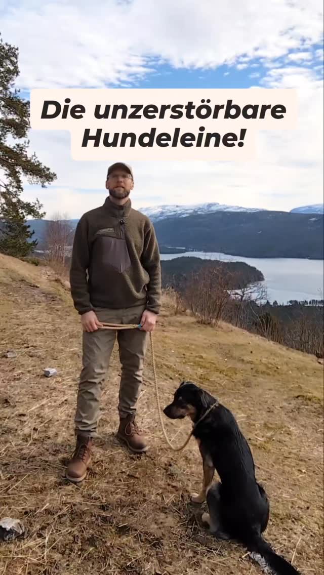 Ich präsentiere euch hier die beliebte klassische Retrieverleine GLOMMA – sehr leicht, robust und - ganz ohne Karabiner - nahezu unzerstörbar und langlebig!
#retrieverleine #moxonleine #hundeleine #tauleine #allesaustau