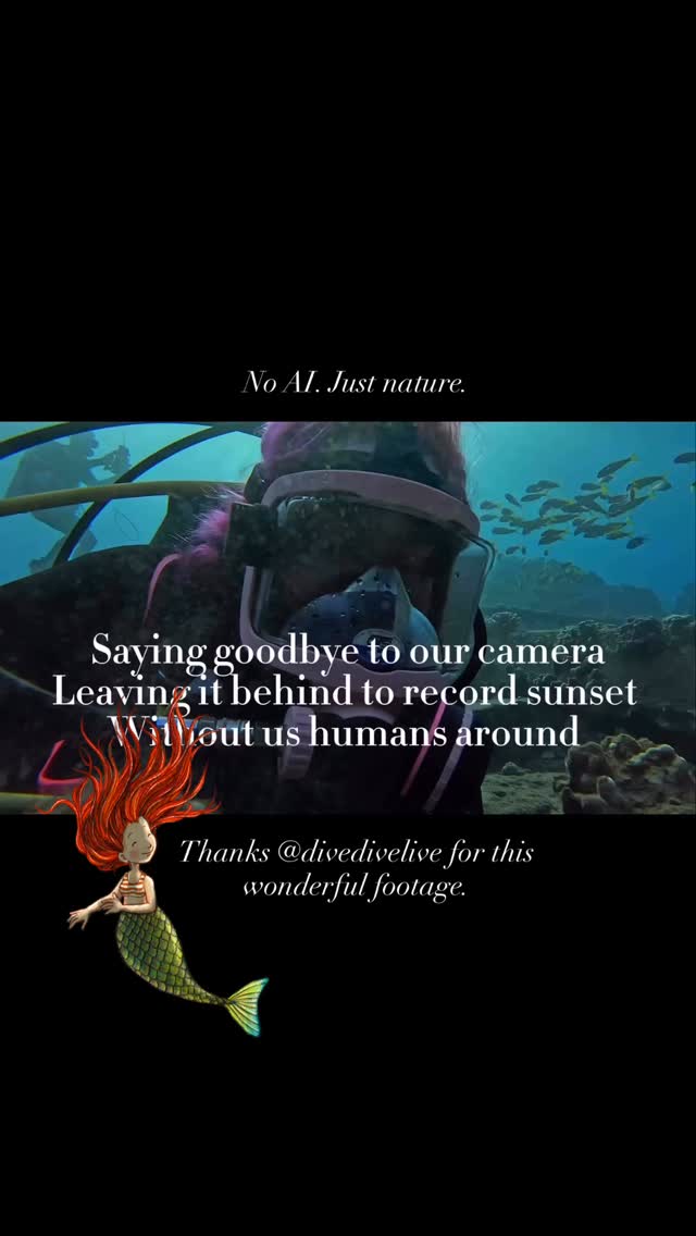 No AI. Just nature.😍
This is what happens when you set up a camera underwater on a reef in Hawaii and just let the fish be.
You can even hear what’s happening underwater. I think this video is one of the most beautiful things I’ve ever seen on Instagram.
Thanks @divedivelive for this wonderful footage.