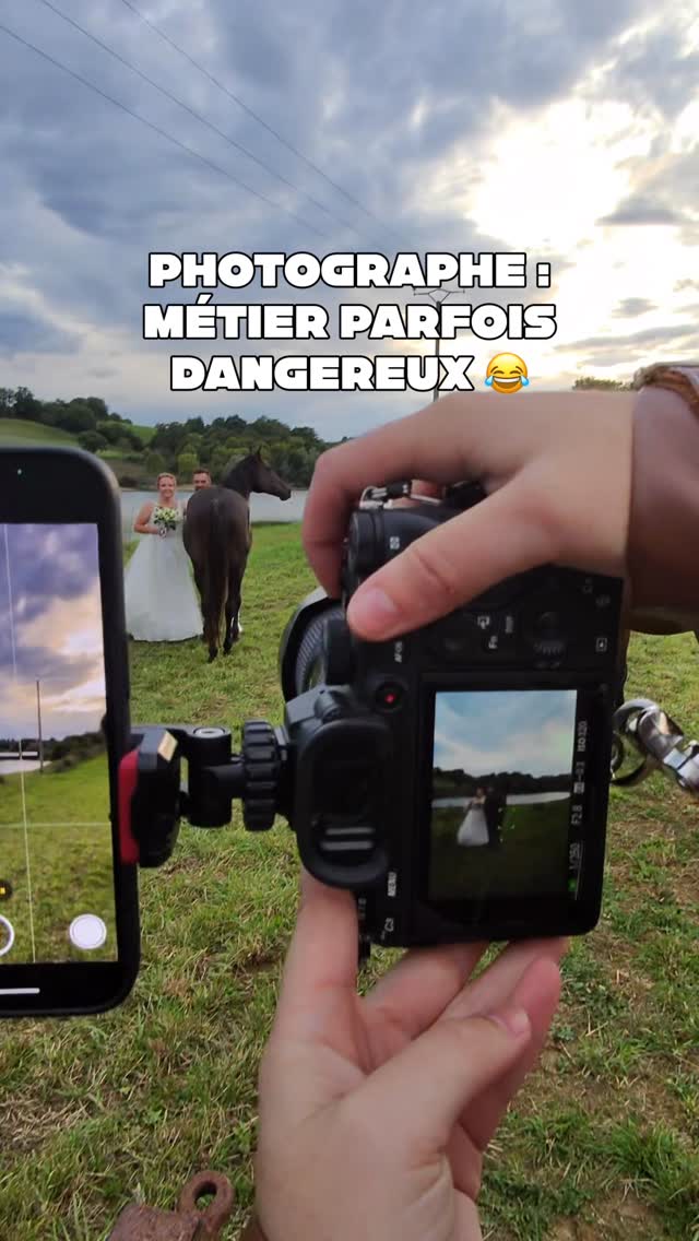PAS DE PANIQUE 😱
Lors du mariage de Nolwenn et Théo, ils m’ont suggéré de faire des photos avec tous leurs enfants. Vous avez compris ce troupeau de chevaux en faisait parti 🐴
Et bien évidemment ce sont des animaux curieux donc l’une des juments a profité de ma concentration pour venir renifler mes cheveux 😋
Heureusement que je connais les chevaux et que j’en ai aucune peur, bien qu’il faut rester prudent, j’aurais pu perdre une mèche au passage 🤪