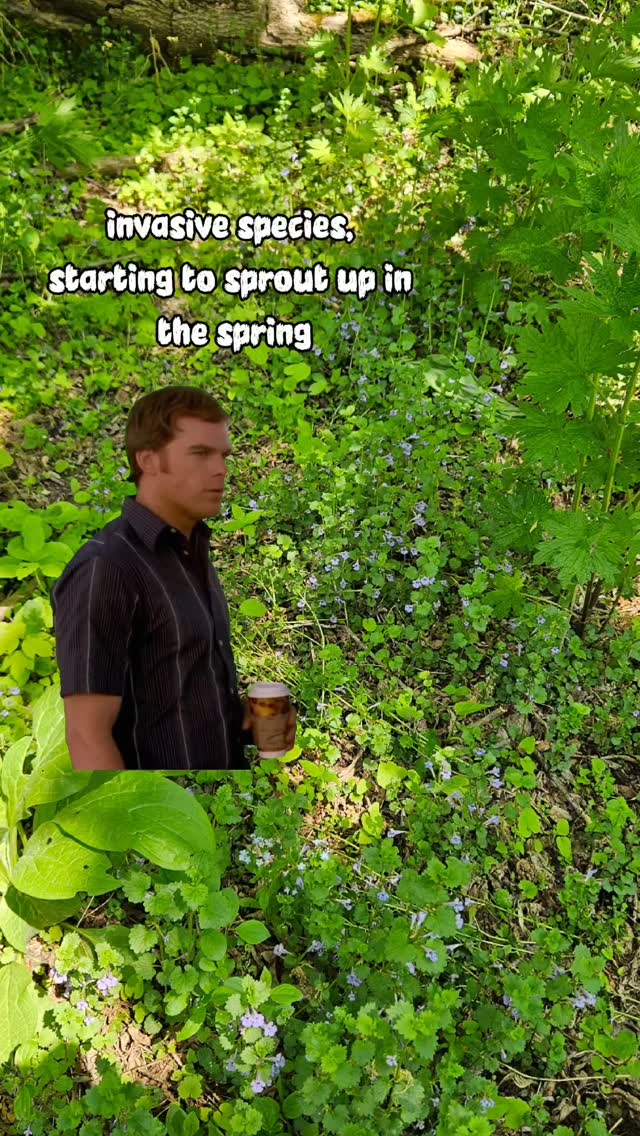 Invasive species are typically some of the first plants to start greening up in the spring, which can make them easy to spot!
We'll certainly be keeping our eyes open this spring. Remember, if it looks out of place, it probably is!
#invasivespecies #imwatchingyou #Meme #spring #CapCut