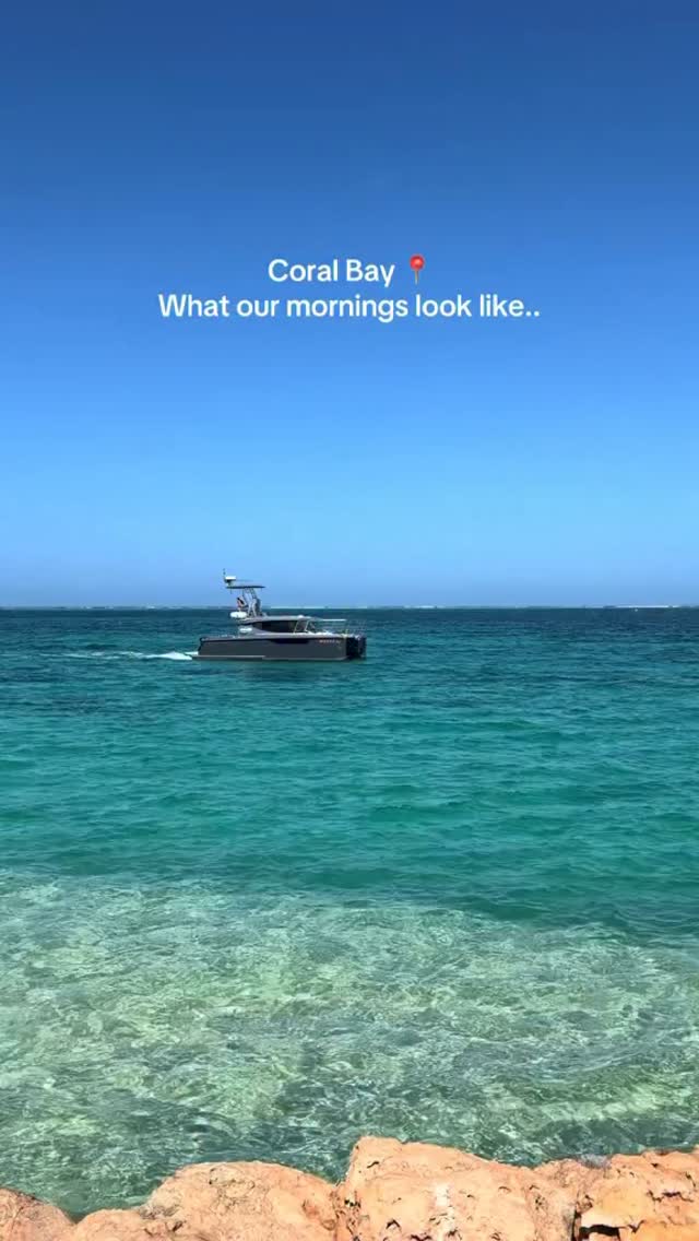 Coral Bay is calling…
We cannot wait to be back out there with you 🩵
We are back on Monday! Hope to see you soon 🪸
#ningalooreef #coralbay #visitningaloo #swimwithmantarays #snorkelling
