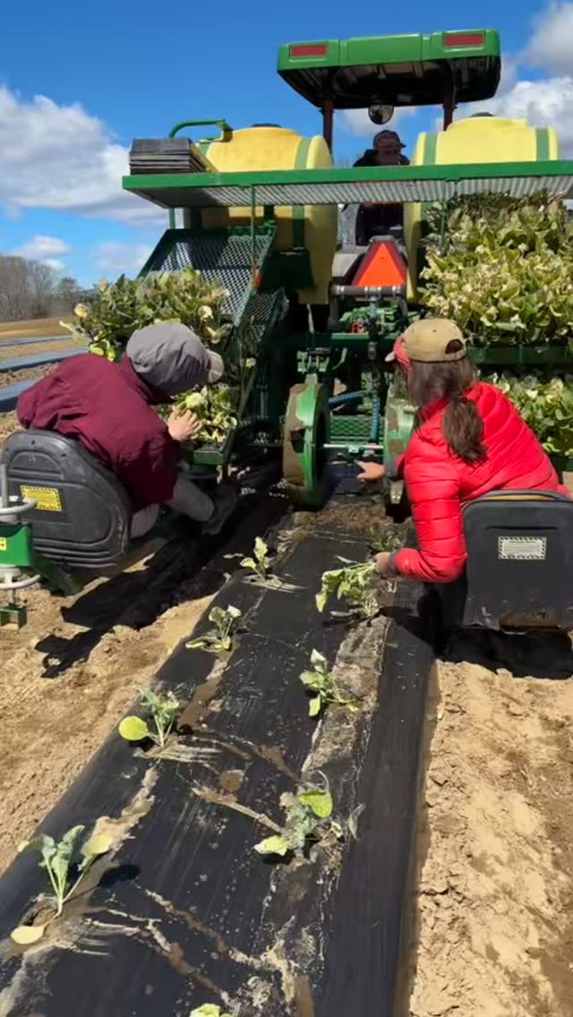 Weâre still celebrating Earth Day đ today and everyday here at Longview! Be sure to stop by the stand for fresh greens, veggie/flower starters, seeds and much more! Open Thursday-Sunday 10-4pm