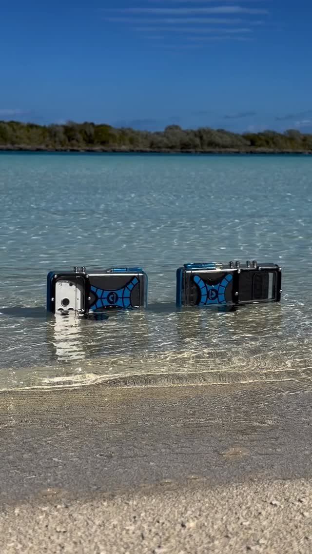 Not just a phone case… it’s your ticket to the underwater world 🌊
From Android to iPhone, ProShotCase lets you capture every moment beneath the surface.
Because the best memories don’t just happen on land 💙 #proshotadventure #proshotcase #tidalmask #snorkeling #androidephonecase