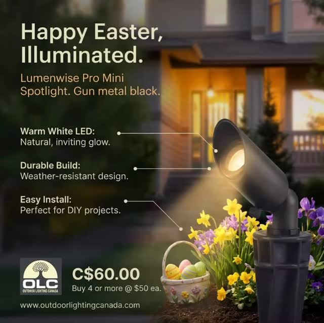 #outdoorlightingcanada #landscapelighting #backyardrenovations #gardenlighting #spotlight