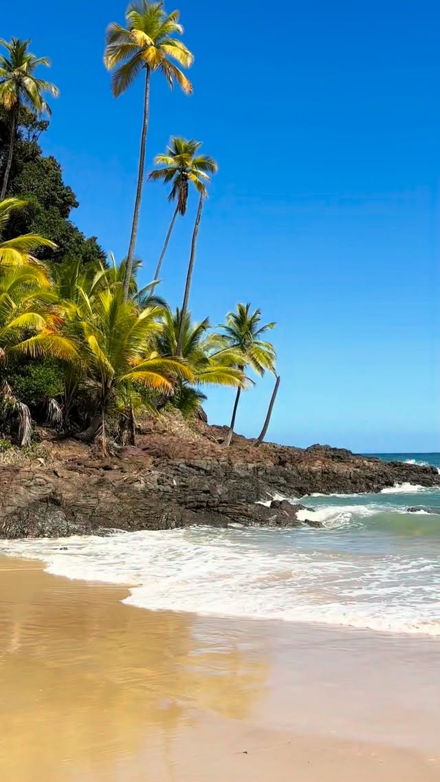 Entre as belezas de Itacaré, nada como ter um lugar tranquilo pra voltar no fim do dia.
Estamos na melhor localização da cidade, no centrinho, perto dos restaurantes, da vida noturna e a menos de um minuto da orla de Itacaré.
Somos a sua hospedagem prática, bem localizada e a poucos metros da praia, do jeito que a sua experiência em Itacaré pede.
Acesse o link da bio, faça sua reserva e venha viver dias incríveis em Itacaré.
#itacare #bahia #itacaré #pousada #opharolhostelepousada