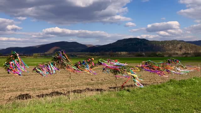 A Kis-Küküllő mentén még ma is él az a szokás, hogy húsvétkor a fiúk színesen díszített fenyőágakat akasztanak a lányok házának kapujára, jelezve ezzel, hogy húsvét hétfőn locsolásra jönnek oda. Ennek a szokásnak a gyökerei a tavaszhoz és az élet megújulásához kapcsolódnak. Az örökzöld fenyő az életet és a halhatatlanságot szimbolizálja.
Szeretem, ezt a szokást; imádom nézni, ahogy a színes krepp-papír a tavaszi szellőben és a fényben táncol. A táj, a ház és a kapu tele van játékossággal és élettel. Számomra ezek a fenyőágak a jelen üdvözlése a múltnak és hagyományainknak.
Eng:
Along the Tarnava Mica (Kis-Küküllő) River, there is still a custom where, at Easter, boys place colorfully decorated pine branches on the gates of girls’ homes, signaling that they will come to sprinkle water there on Easter Monday.
The roots of this custom are linked to spring and the renewal of life. The evergreen pine symbolizes life and immortality.
I love this custom; I love watching the colorful crepe paper dance in the spring breeze and the light. The landscape, the house, and the gate are filled with playfulness and life. For me, these pine branches are the present’s greeting to the past and to our traditions. @tidalarts #bittersaltflow #easter #transylvania #emokekerekes #húsvétiszokás
