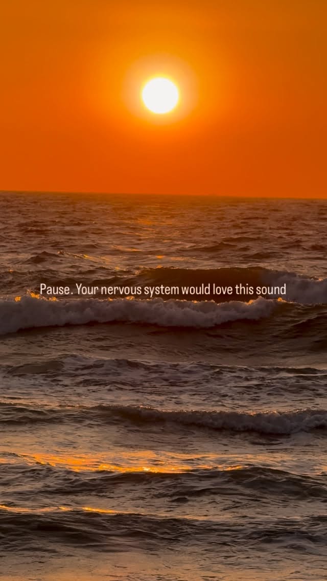 Come unplug at Golden Perch 🫶🏻❤️
#GoaVilla #GoaStays #goaairbnb #GoaSunset #goavibes