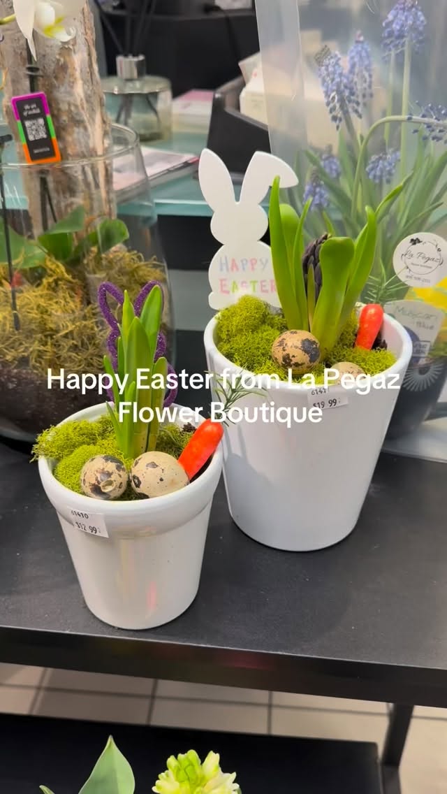 Happy Easter π£πΈ
Wishing you a beautiful day filled with love, family, and sweet moments π
Our Easter baskets are made with love just for you!