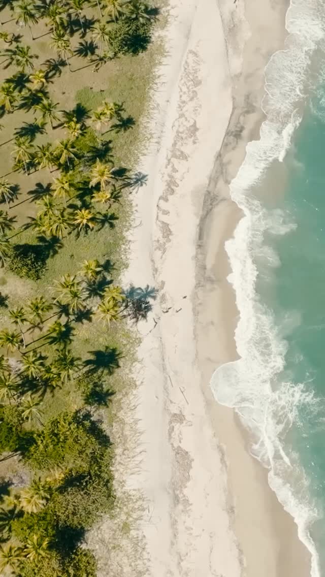 Easter week in Colombia is beautiful… but it can also be chaotic. 🇨🇴
⭐️Overbooked hotels.
⭐️Heavy traffic.
⭐️Crowded destinations.
The difference? Planning with the right local team.
At Colombia Expats, we handle logistics, safety and curated experiences — so you can actually enjoy your trip.
👉 Last-minute plans? DM us now
👉 Travel safe. Travel with experts
#SemanaSantaColombia #EasterTravel #TravelSmart #SafeTravel #VisitColombia