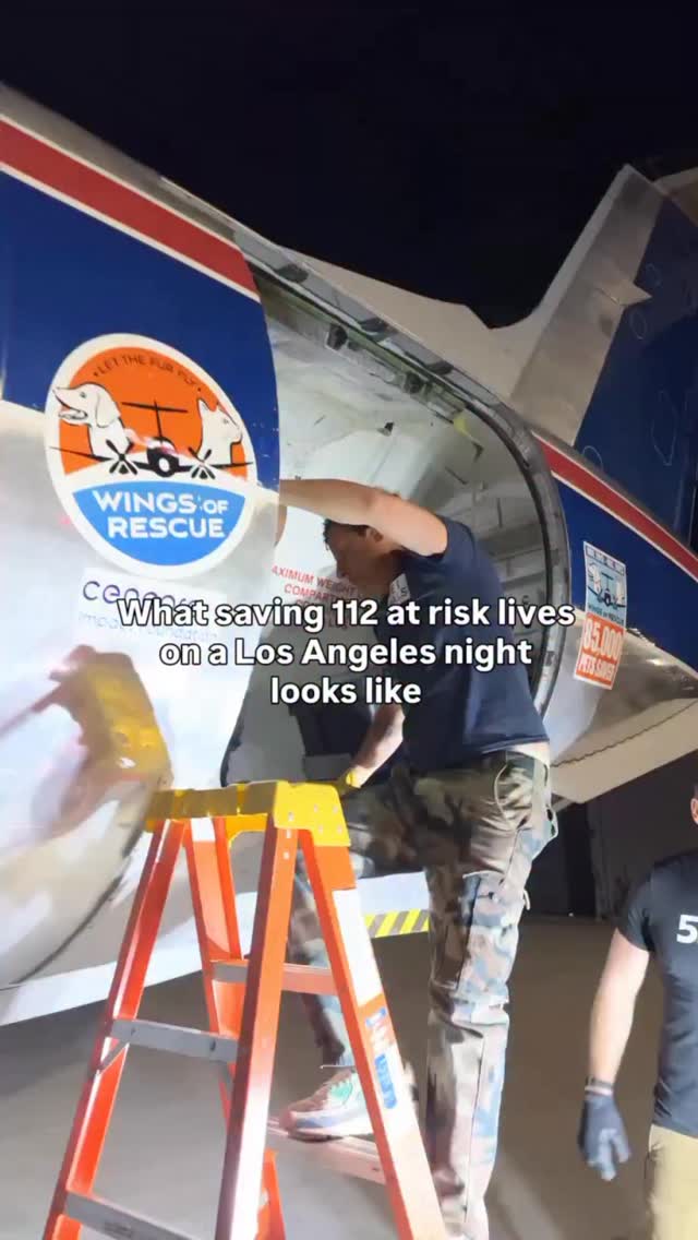 ✈️ Friday night didn’t just feel like a flight. It was movement where so many people showed up to help.
Not for recognition. Not for attention. Just to be part of something that matters.
From longtime supporters to new faces, and yes, even some familiar ones you might recognize… everyone stood side by side on that runway with the same purpose.
To get these pets out. To give them a future.
That’s what makes this work different. It’s not just what we do.
It’s who shows up to do it with us.
The LA community showed up in a big way.
To every single person who came out, stayed late, lifted crates, shared the moment, and used your voice to help amplify this mission… thank you.
You are part of every life that left that runway.
Learn more about our mission - LINK IN BIO
#LetTheFurFly #dogs #cats #flight #celebrity 📸 @pupppstar