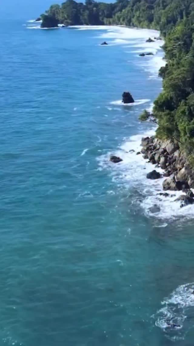 Te gustaría unirte por las ballenas y delfines del Pacifico ?
Detrás de este proyecto @conservaciongorgona hay personas reales.
Personas como @laurabenitezbe , su directora,
a quien hemos seguido de cerca y admiramos profundamente.
Sabemos el trabajo que hacen cada día
por proteger especies como las ballenas,
los delfines y toda la vida que habita el Pacífico colombiano.
Pero sobre todo, nos inspira su cercanía con las comunidades.
Porque proteger el océano también es cuidar a quienes viven cerca él.
En ALMAR queremos visibilizar ese trabajo.
Porque esto no va solo de nosotros.
Va de todos los que ya están haciendo que las cosas cambien.
No importa donde estés, puedes unirte por las Ballenas y delfines del Pacífico Colombiano 🇨🇴 🐬
#PacificoColombiano #Ballenas #Delfines #VidaMarina
#Océano AmorPorElMar