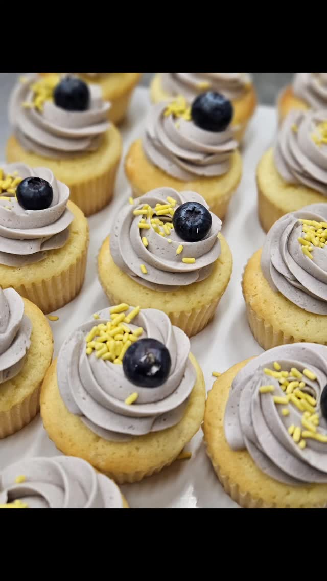 Menu for 5/5-16: Spring Favorites!
š·šµšŖ»
CUPCAKES:
š«Double Chocolate
š§Funfetti
ā¤ļøRed Velvet
š¾Champagne Cream Cheese Berry
š Lemon Blueberry
š¤Brown Butter Toffee Chocolate
COOKIES
š„°Chocolate Chip
šSnickerdoodle
š§”Carrot Cake Cookies
š Lemon Crinkles
š« Chocolate Flowers
PASTRIES
šCoffee Cake
šBakers Choice Scones
šCinnamon Rolls
Saturday: Lemon Blueberry Cinnamon Rolls