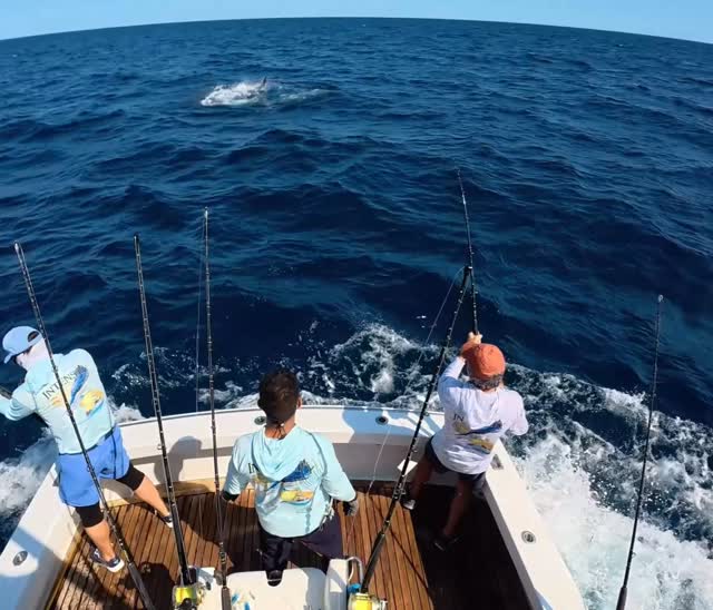 Seasoned Mates understand they’re also bodyguards. Fish w/ INTENSITY!!!