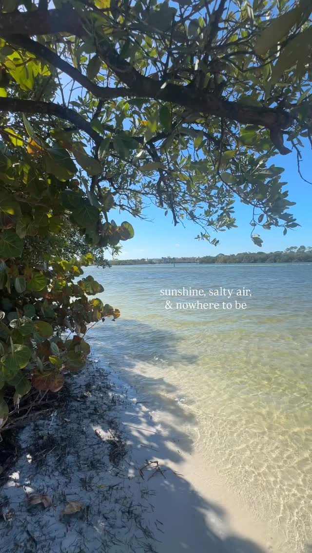 The perfect place to disappear for the weekend 🌴
If your Friday doesn’t look like this, it should! ☀️
Come visit 😎
@driftwoodcottagepalmharbor
-Palm Harbor, FL
•
•
•
•
#visitflorida #floridalife #floridavacation #travel #florida