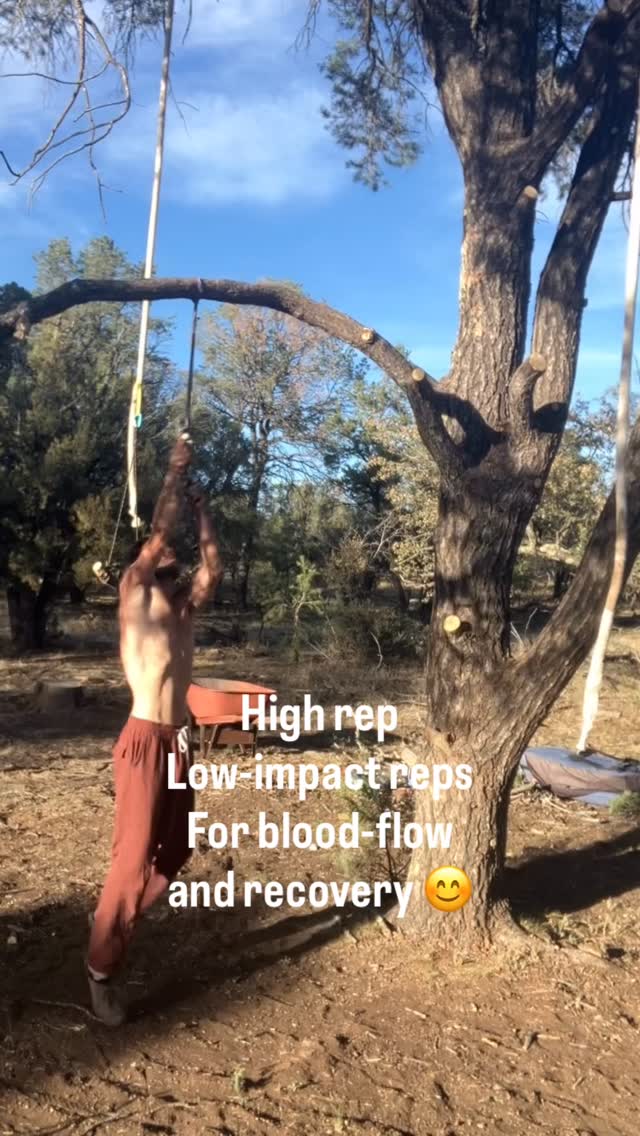 Getting the blood flowing… feels good to start training again 💪 #Pull-ups #Fitness #recoveryworkout #treegym #3ballfitness