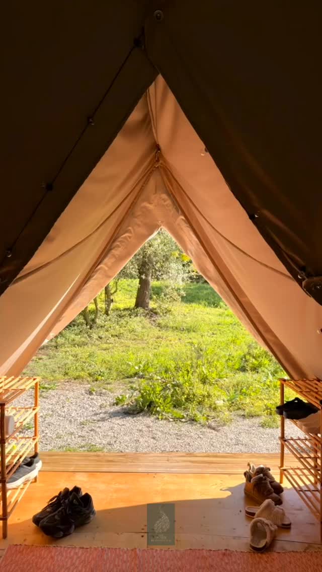 This retreat… was something words can barely hold. ✨🤍
There was a softness…a slowing down…
a remembering of what it feels like to truly be.
So many of you spoke about the subtle layers, the way the space felt, the depth of connection, the quiet moments where something shifted without needing to be named.
When the nervous system softens, when the body feels safe, when the mind is no longer racing ahead …
you begin to hear yourself again.
From breath to stillness then to expansion,
from strangers to something that feels like soul family…a Tribe.
Every experience invited you back to yourself and every second had an intention.
And maybe that’s what this work really is?
It’s not becoming someone new, but instead remembering who you were before the noise of society & necessity told you ‘you must be’
If you’ve been feeling the call… this is your invitation 🤍
Join me for the next Inner Playground retreat
📍 Meco, Portugal
📅 17-21s November
A space to reset, reconnect, and come back to yourself ✨