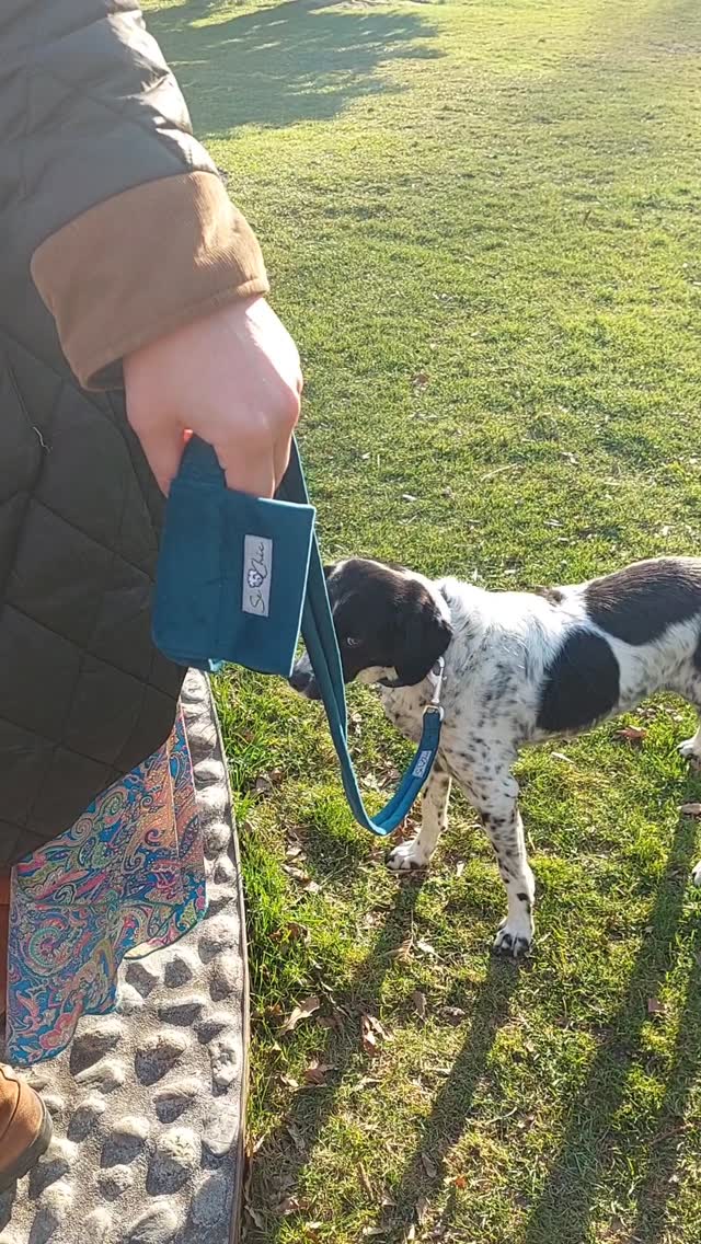 Bestseller-Glow für deinen Hund mit Peacock 🦚✨
Die süße Clara ist bereit für das perfekte Outfit – mit dem Se Chic Bestseller-Set in Peacock 🐾📸.
Diese Farbe setzt jedes Outfit in Szene – elegant, stilvoll und super bequem 🧣🐕.
Ob Spaziergang 🚶♂️ oder Kuschelzeit 💤, das Set sorgt für Komfort und Wow-Effekt ✨👌.
Jetzt zugreifen und deinem Hund den Peacock-Glow gönnen! 🦚💎
👉 www.sechic.it
#SeChic #BestsellerSet #Peacock #Hundemode #DogStyle PetFashion Hundeliebe FashionForPups