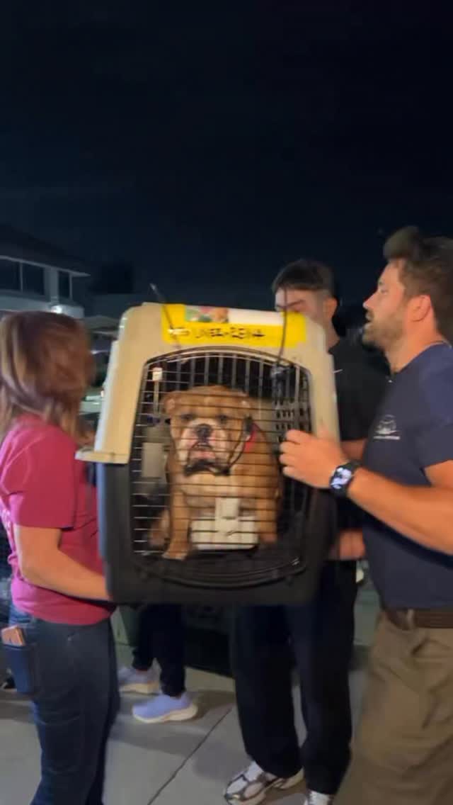 𝐍𝐞𝐚𝐫𝐥𝐲 𝐚 𝐝𝐨𝐳𝐞𝐧 𝐟𝐥𝐢𝐠𝐡𝐭𝐬 𝐛𝐞𝐭𝐰𝐞𝐞𝐧 𝐧𝐨𝐰 𝐚𝐧𝐝 𝐭𝐡𝐞 𝐞𝐧𝐝 𝐨𝐟 𝐌𝐚𝐲.
Tomorrow we leave California bound for Portland, Oregon and Salt Lake City, Utah. The skies are about to get very busy.
Watch today’s video, and you’ll understand why we do this. Behind every flight is a level of dedication, logistics, and love that most people never see. 𝐓𝐡𝐢𝐬 𝐢𝐬 𝐰𝐡𝐚𝐭 𝐢𝐭 𝐥𝐨𝐨𝐤𝐬 𝐥𝐢𝐤𝐞 𝐰𝐡𝐞𝐧 𝐩𝐞𝐨𝐩𝐥𝐞 𝐫𝐞𝐟𝐮𝐬𝐞 𝐭𝐨 𝐠𝐢𝐯𝐞 𝐮𝐩 𝐨𝐧 𝐩𝐞𝐭𝐬.
If this moves you — share it. If you want to be part of it — donate. If you want to wear the mission — grab our merch.
𝐋𝐞𝐚𝐫𝐧 𝐦𝐨𝐫𝐞 𝐚𝐛𝐨𝐮𝐭 𝐨𝐮𝐫 𝐦𝐢𝐬𝐬𝐢𝐨𝐧 𝐨𝐧 𝐨𝐮𝐫 𝐰𝐞𝐛𝐬𝐢𝐭𝐞.
💙 LINK IN BIO
#LetTheFurFly 📸 @pupppstar