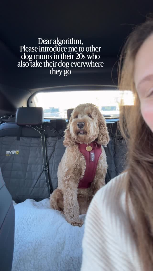 Because honestly… if my dog/s can come, I’m there. If not, I’m probably not interested!
Where are my people? 🐾