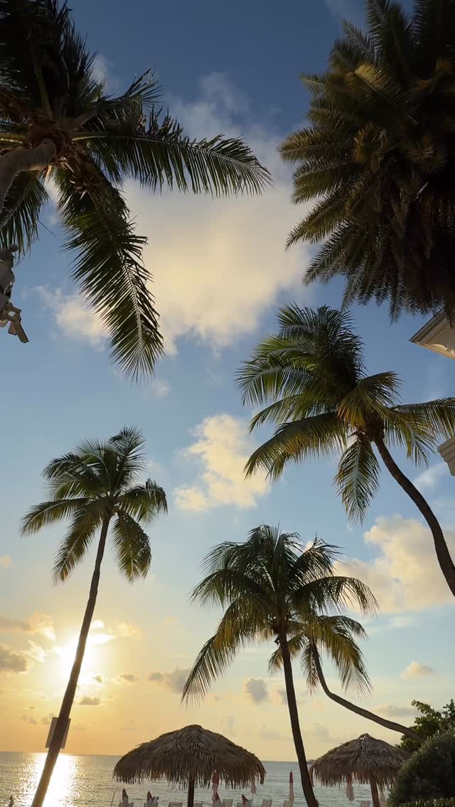 And just like that, another April sunset in the books.
See you in May, paradise ✨
#CaribbeanClub #Sunset #SevenMileBeach #GrandCayman #CaymanSunset EndOfMonth LuxuryLife IslandSunset