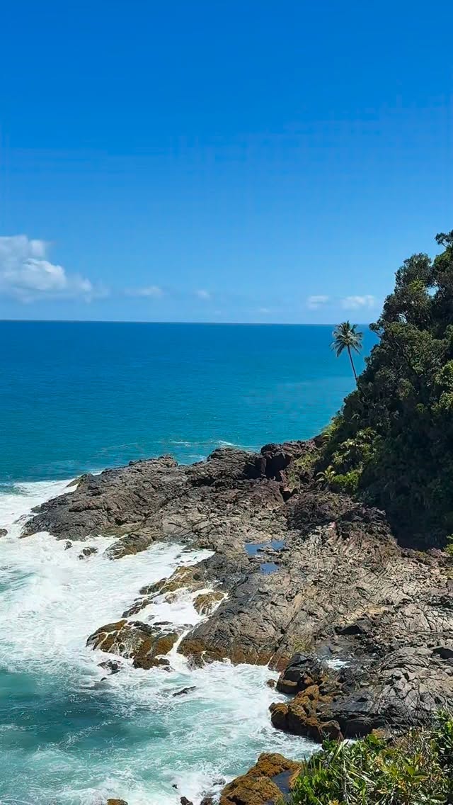 Vai viajar para Itacaré?
Já salva esse vídeo pra viver pelo menos duas dessas experiências quando estiver aqui.
1. Conhecer as piscinas naturais da Praia da Arruda: para chegar, é necessário fazer a trilha até a Praia de Jeribucaçu e depois seguir até a Arruda. As piscinas naturais aparecem de acordo com a maré, então é importante ir com um guia pra fazer o passeio no momento certo.
2. Passeio de canoa pelo Rio de Contas: uma experiência que deixa a viagem ainda mais especial. Se puder, vá no fim da tarde. O encontro do rio com o mar, junto com o pôr do sol, cria um cenário que aí a mais bonito.
3. Trilha das 4 praias: um dos passeios mais procurados de Itacaré. No mesmo dia você passa por Itacarezinho, Camboinha, Havaizinho e Engenhoca. O ideal é fazer com guia, principalmente pra aproveitar melhor o percurso.
4. Pôr do sol no Xaréu: clássico e fácil de chegar. Fica no centro, perto da Praia da Concha e da nossa pousada. A vista do Rio de Contas com a orla no fim de tarde é um dos momentos mais bonitos do dia.
5. Trilha da Prainha: uma das praias mais bonitas da região. O acesso é por trilha de aproximadamente 40 minutos. O caminho já faz parte da experiência, mas é recomendado ir com guia.
Agora me conta aqui nos comentários… você já viveu alguma dessas experiências em Itacaré?
#itacare #bahia #dicas #itacareparaisobaiano #oquefazeremitacare