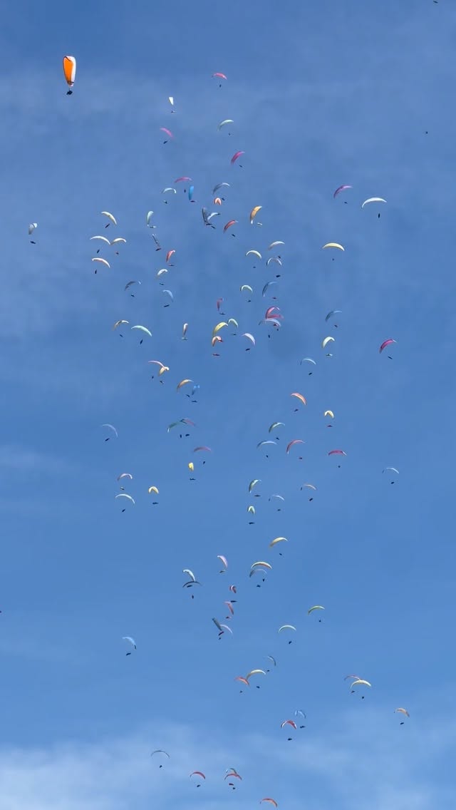 Dreaming to be one day that gaggle with the best pilots in world 🌎😍
@trofeomontegrappa awesome as always , such a level 🔥