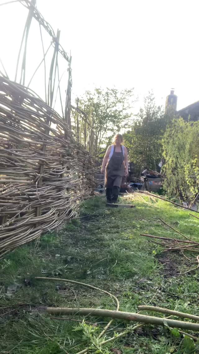 Spent the morning inside working on orders but wanted to get out into the sunshine in the afternoon. 🌞
I got everything ready to sow some seeds when I got distracted by the huge pile of cut willow on the path. There had been a makeshift fence there full of pallets, old stock wire and rotten posts and it had all been flattened in the recent storm.
So without further ado (or planning of any kind) I popped up a rather lovely (though not at all straight) willow fence.
I still have to trim the ends and might knock in a few wooden posts that I have lying around but otherwise I’m happy with it. It’s functional and has greatly lessened the pile of willow.
I think a few sweet peas and nasturtiums growing up it and it will be a great vertical addition to the garden.
#willowfence #willow #garden #doityourself