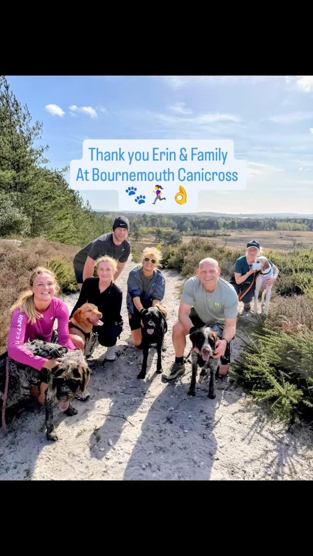 Thank you Erin @poodlesandpointers and @bournemouthcanicross for a speedy run through the glorious Wareham Wood. We loved it! We felt very welcomed considering we gatecrashed your family cani 🤪 Super fun, beautiful dogs, lovely company. Pure joy. Very grateful 👊🐾🏃♀️☀️
#bournemouthcanicross #englishpointer #wiggleandwag #nonstopdogwear #canicross