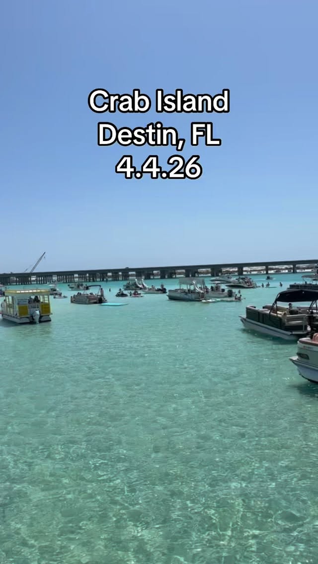 A beautiful Saturday at Crab Island! 🦀 ☀️