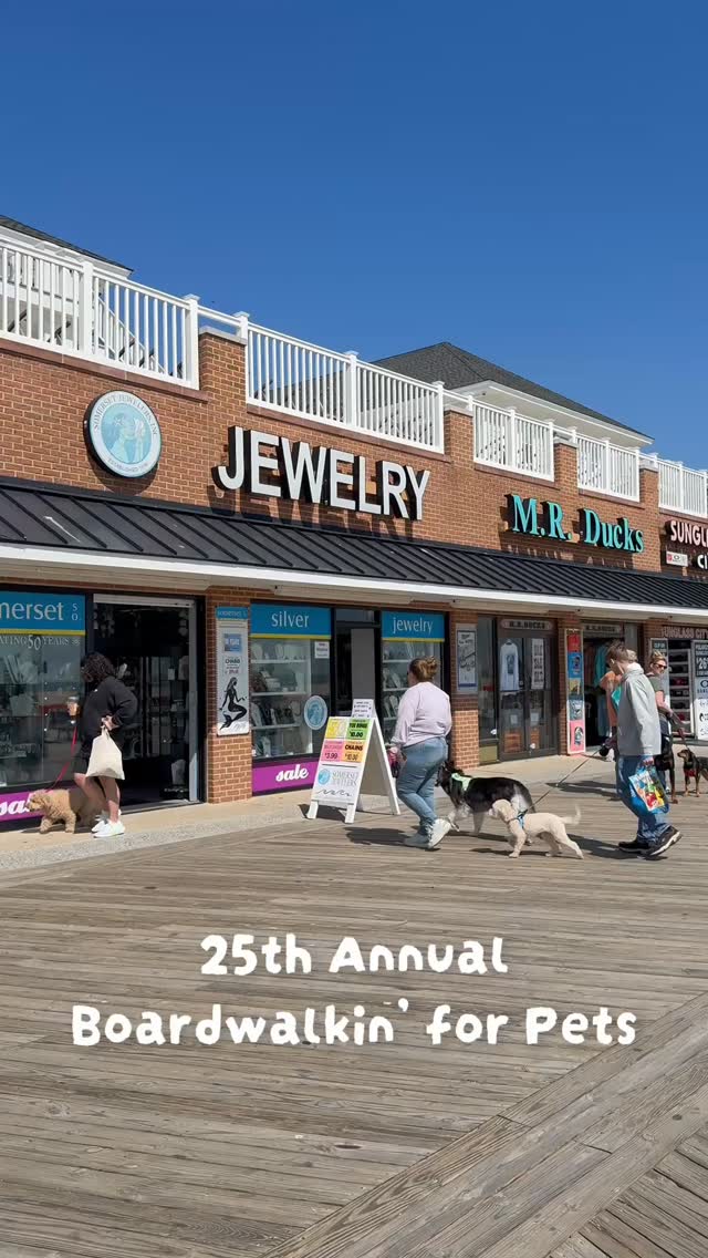 Treat bags for the pups, sparkle for you ✨🐾
We’re so excited to be part of Boardwalkin’ for Pets this year. 🐶🎁
Bring your pup, stop in, and enjoy a fun day supporting an amazing cause while finding something special for yourself too 💛
And don’t forget our 50 year celebration on May 8th from 4–7… we can’t wait to celebrate with you 🎉
#SomersetJewelers #PetEvent #BoardwalkinForPets #DogFriendlyBusiness #ShopLocalLove #WorcesterCountyHumaneSociety #JewelryFinds #SmallBusinessSupport #50YearsStrong #SaveTheDate #sterlingsilver #sterlingsilverjewelry