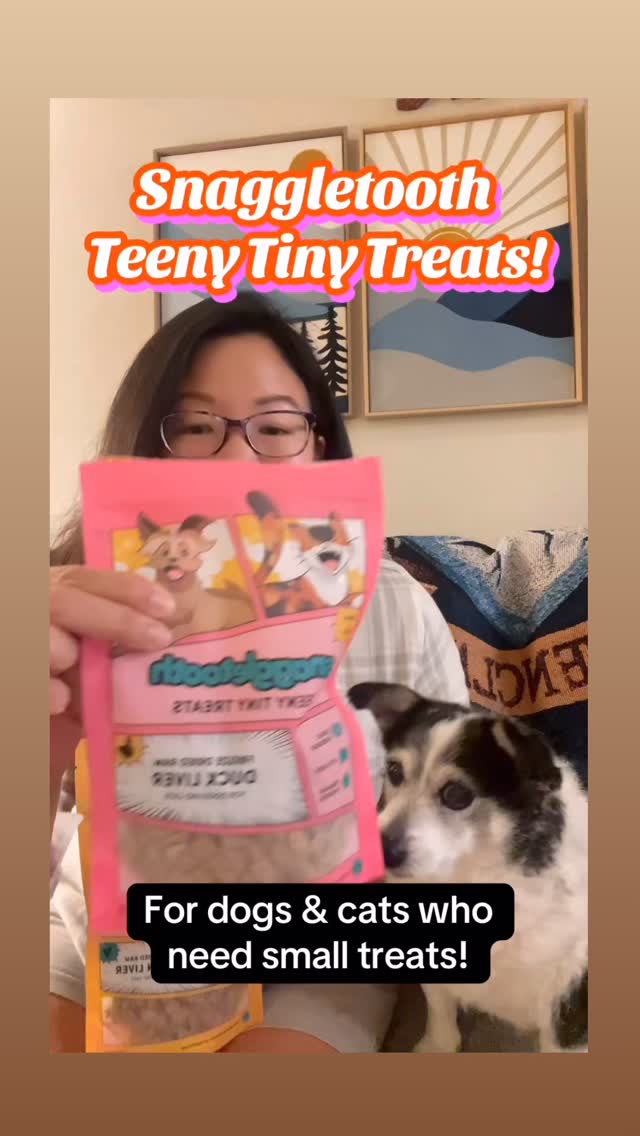 We are so excited to have discovered @snaggletoothpets Teeny Tiny Treats! They are single ingredient dehydrated treats that are so tiny! Also, LOW calorie. Duck liver, beef liver, chicken liver, and lamb liver. We ordered the variety pack because it’s such a good deal. Plus shipping was fast! Eddie loves them! Eddie is a senior dog with limited teeth, so these are perfect for him! I don’t have to break them up for him. He can easily eat them. Perfect for dogs and cats! The founder, Meagan, made it her mission to create a treat that her rescue dog, Korra, could eat without having to have it cut or broke up. We are excited to add Snaggletooth to the RECS 4 PETS app! We love to support small businesses especially when it comes to pets!
We made up a jingle for the treats 😂 let us know what you think!
#seniordog #seniorcat #supportsmallbusiness #petcare #dogmom