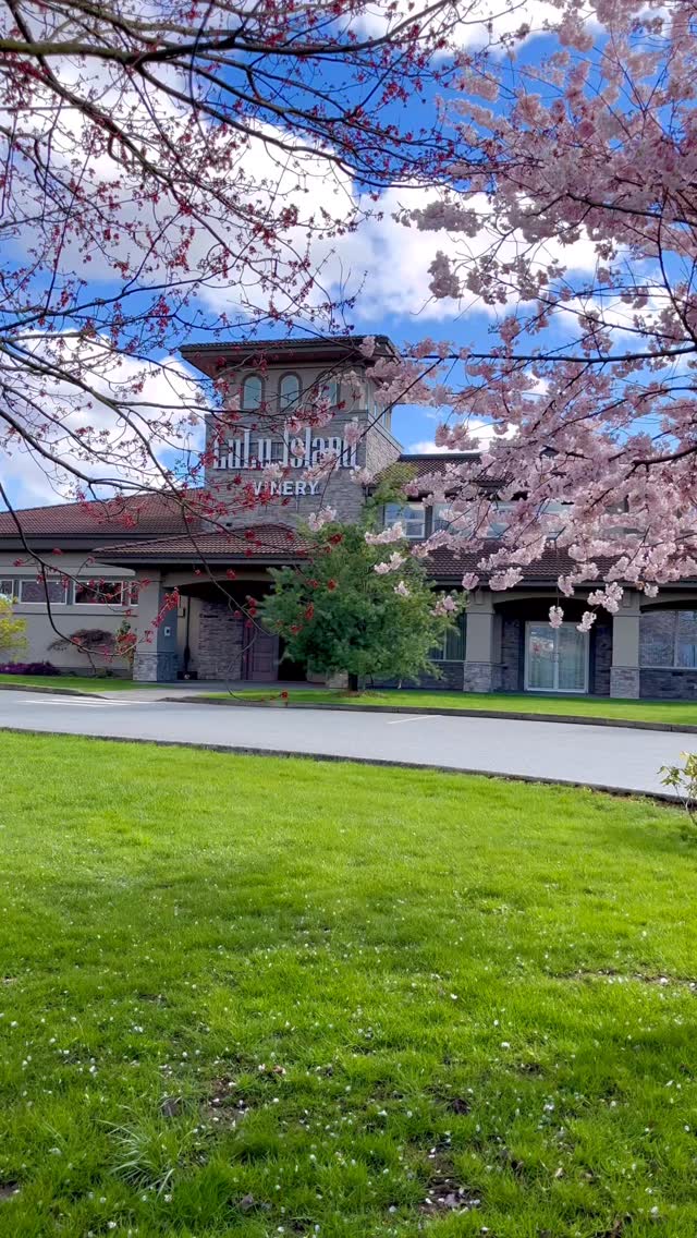 Doesnât get any more idyllic than this đ¸đĽ
We are officially back to being open from 10:00AM to 6:30PM daily! Make your Discovery or Estate Tour reservations early, or stop by anytime for a casual 5-pour tasting of any red/white/fruit wines of your choiceâtasting fee waived with a purchase of any bottle đ¤