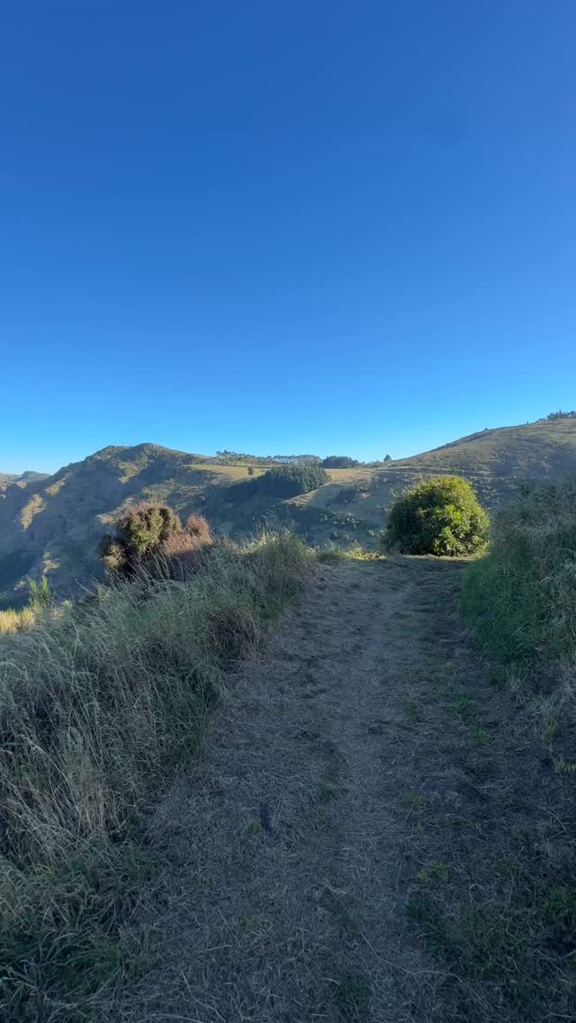 A favourite walk near the sign of the Kiwi, looking down on the ancient volcano, that formed the bank’s peninsula. My childhood home was not too far from this spot, so often used to walk up to see the views from here.
