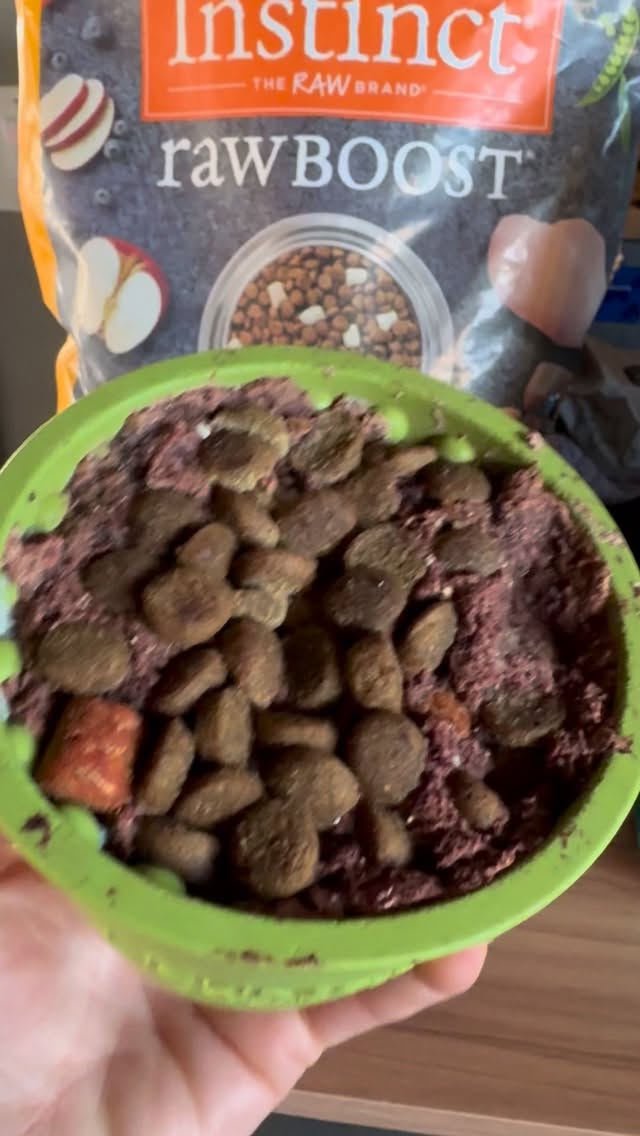 Whisky’s kind of happy hour 🐾❄️
Yogi Pot by LickiMat loaded with RAWZ venison caned & Instinct kibble… then frozen for the ultimate enrichment win 🙌
Keeps him busy, slows things down, and turns mealtime into something special 🐶💛
Who else is freezing their pup’s dinner? 👇
#whiskywiggle #dogenrichment #lickimat #rawfeeding #healthypup enrichmentideas dogsofinstagram
