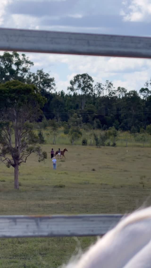 My horses got to be a part of healing hearts and minds for a women’s retreat today and gosh was it beautiful to watch 🤩
Horses really are Gods gift and the power, beauty and grace they have truly is out of this world! So greatful to get to share my beautiful horses and property with people 🥹
A big thank you to @wolfy4567 for making spaces like this available to people 🥰
#horseshealinghearts #horsetherapy #womensretreat #horselove #horses